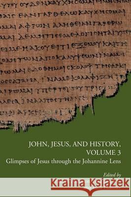 John, Jesus, and History, Volume 3: Glimpses of Jesus through the Johannine Lens Anderson, Paul N. 9780884140825
