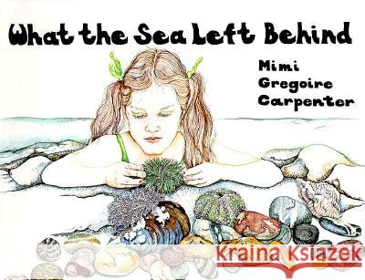 What the Sea Left Behind Mimi Gregoire Carpenter 9780892721238 Down East Books
