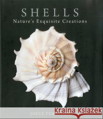 Shells: Nature's Exquisite Creations Tenneson, Joyce 9780892729760 Down East Books