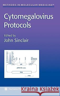 Cytomegalovirus Protocols John Sinclair 9780896037496 Humana Press