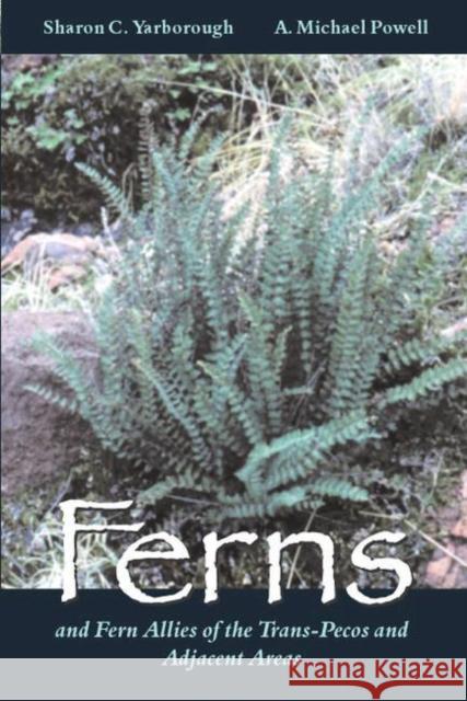 Ferns and Fern Allies of the Trans-Pecos and Adjacent Areas Sharon C. Yarborough A. Michael Powell 9780896724761 Texas Tech University Press