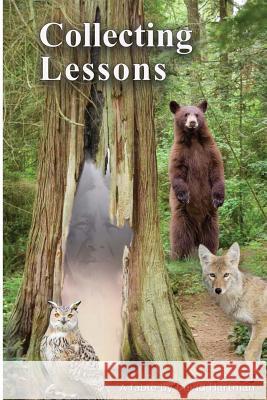 Collecting Lessons: A Fable David Hartman 9780962272851 Wellness Press