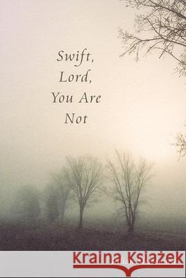 Swift, Lord, You Are Not Kilian McDonnell 9780974099200 Saint John's University Press