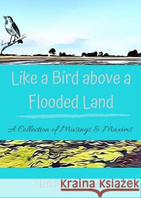 Like a Bird above a Flooded Land: A Collection of Musings & Maxims Ferguson, Hendrick 9780974294940 Palm Springs Publishing
