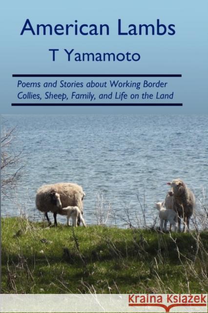 American Lambs: Poems and Stories About Working Border Collies, Sheep, Family, T Yamamoto 9780979469053 Outrun Press