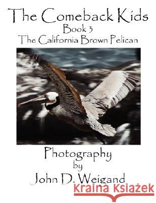 The Comeback Kids, Book 3, the California Brown Pelican Penelope Dyan John D. Weigand 9780979481567 Bellissima Publishing