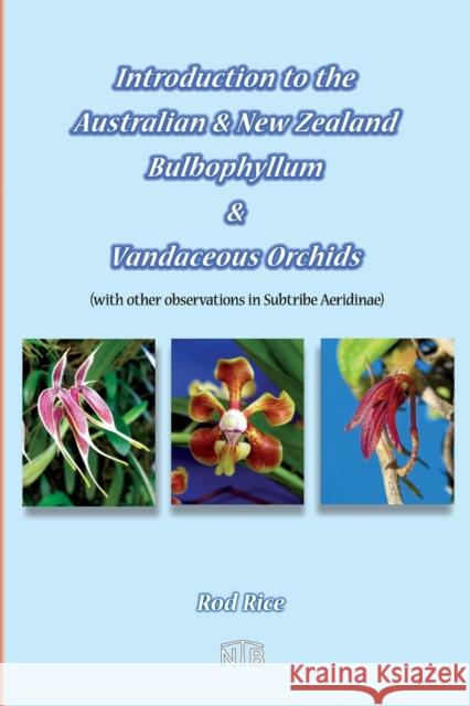 Introduction to the Australian & New Zealand Bulbophyllum & Vandaceous Orchids (with other observations in subtribe Aeridinae). Rod Rice 9780987620675 Nature & Travel Books