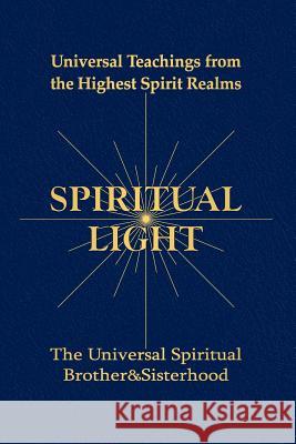 Spiritual Light: Universal Teachings from the Highest Spirit Realms Flagg, Michael 9780991242221 USB Vision Press
