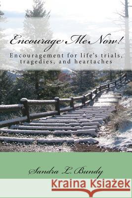 Encourage Me Now!: Finding encouragement for every day trials, heartaches, and tragedies. Bundy, Andrew C. 9780996123891