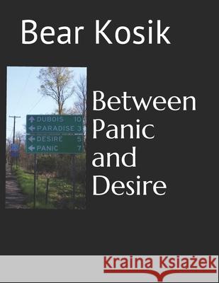 Between Panic and Desire Bear Kosik 9780997657043