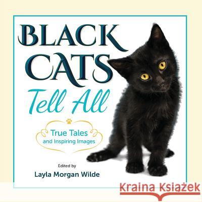 Black Cats Tell All: True Tales And Inspiring Images Wilde, Layla Morgan 9780998059198 Cat Wisdom 101