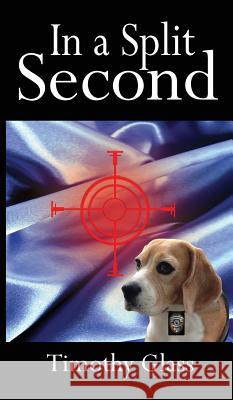 In a Split Second: A Connor Maxwell Mystery Timothy Glass 9780998412191 Platinum Paw Press