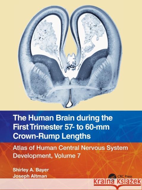 The Human Brain during the First Trimester 57- to 60-mm Crown-Rump Lengths: Atlas of Human Central Nervous System Development, Volume 7 Shirley A. Bayer Joseph Altman 9781032185668