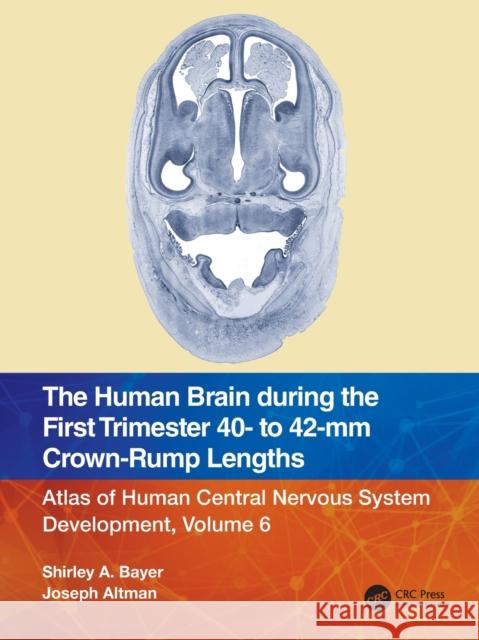 The Human Brain During the First Trimester 40- To 42-MM Crown-Rump Lengths: Atlas of Human Central Nervous System Development, Volume 6 Bayer, Shirley A. 9781032219370