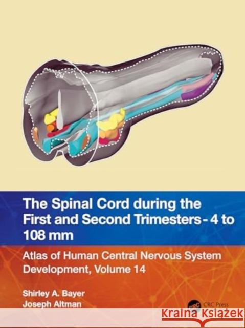 The Spinal Cord During the First and Second Trimesters - 4 to 108 MM: Atlas of Central Nervous System Development, Volume 14 Shirley A. Bayer Joseph Altman 9781032229058