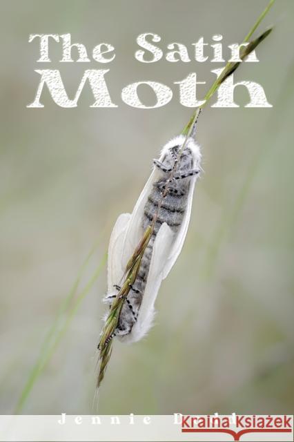 The Satin Moth Jennie Dodd 9781035820016 Austin Macauley Publishers