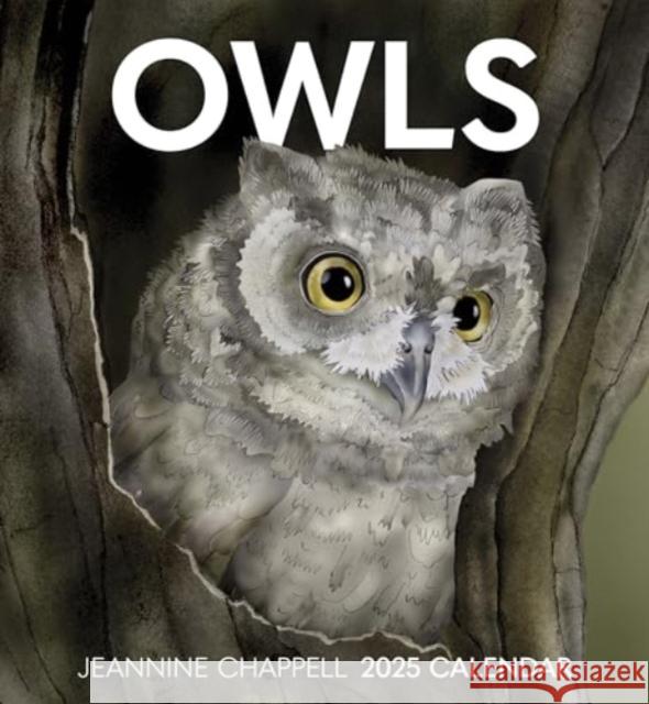 Owls Jeannine Chappell 9781087509594