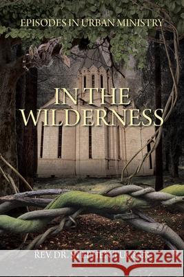 In The Wilderness: Episodes in Urban Ministry Stephen Tucker 9781098050337