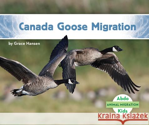 Canada Goose Migration Grace Hansen 9781098202293