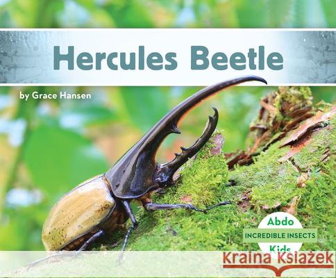 Hercules Beetle Grace Hansen 9781098207380