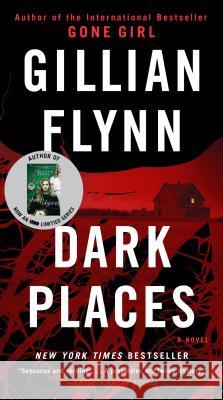 Dark Places Gillian Flynn 9781101902882 Broadway Books