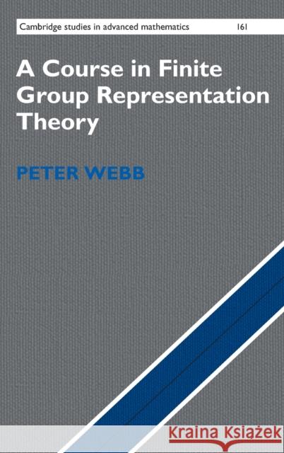 A Course in Finite Group Representation Theory Peter Webb 9781107162396 Cambridge University Press