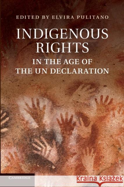 Indigenous Rights in the Age of the Un Declaration Pulitano, Elvira 9781107417014 Cambridge University Press