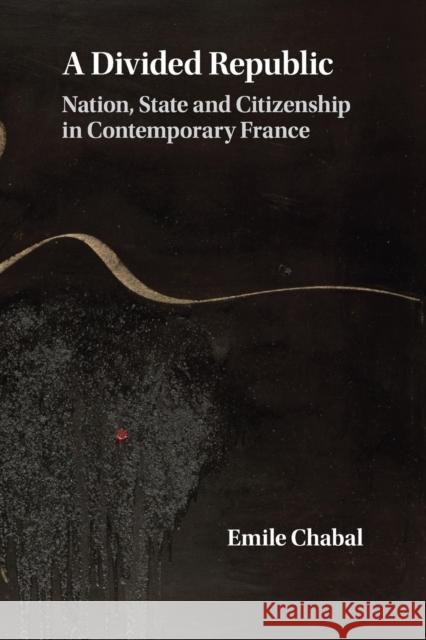 A Divided Republic: Nation, State and Citizenship in Contemporary France Chabal, Emile 9781107692879