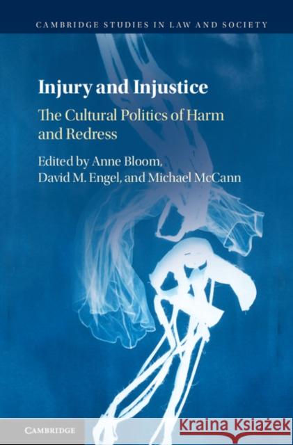 Injury and Injustice: The Cultural Politics of Harm and Redress Anne Bloom David Engel Michael McCann 9781108420242