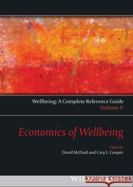 The Economics of Wellbeing McDaid, David 9781118608388