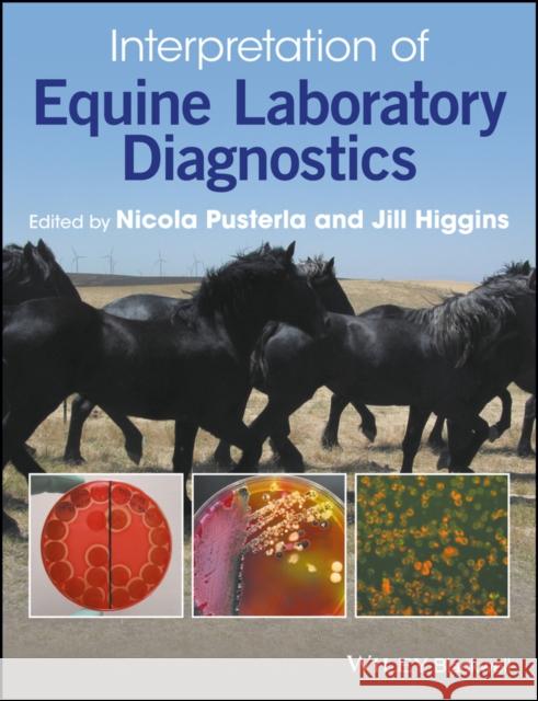 Interpretation of Equine Laboratory Diagnostics Nicola Pusterla Jill Higgins 9781118739792