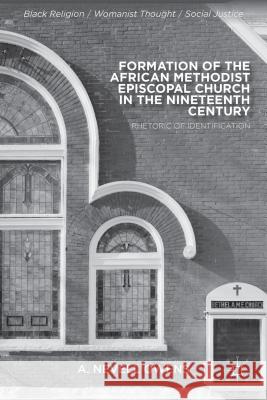 Formation of the African Methodist Episcopal Church in the Nineteenth Century: Rhetoric of Identification Owens, A. 9781137344809