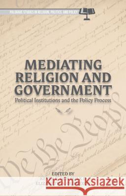Mediating Religion and Government: Political Institutions and the Policy Process Den Dulk, Kevin R. 9781137394408