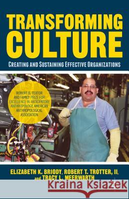 Transforming Culture: Creating and Sustaining a Better Manufacturing Organization Briody, E. 9781137408198 Palgrave MacMillan