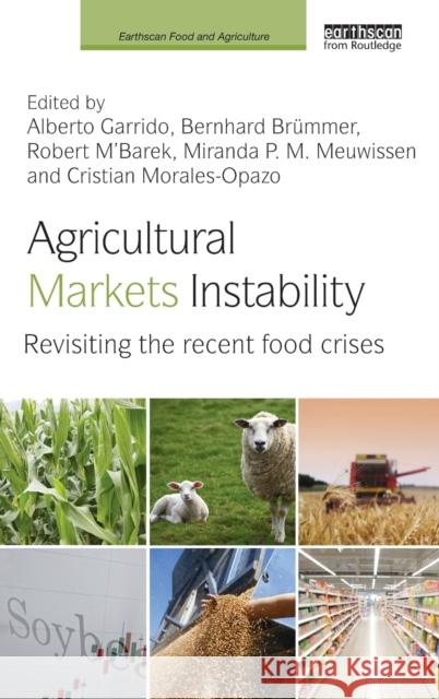 Agricultural Markets Instability: Revisiting the Recent Food Crises Alberto Garrido Bernhard Brummer Robert M'Barek 9781138937413 Routledge