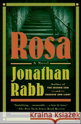 Rosa Jonathan Rabb 9781250008725 Picador USA