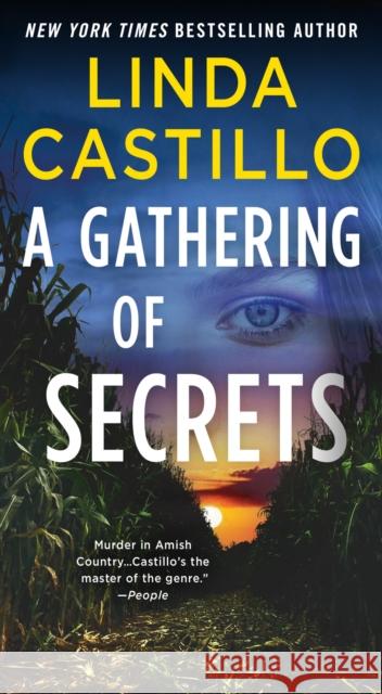A Gathering of Secrets: A Kate Burkholder Novel Linda Castillo 9781250121325