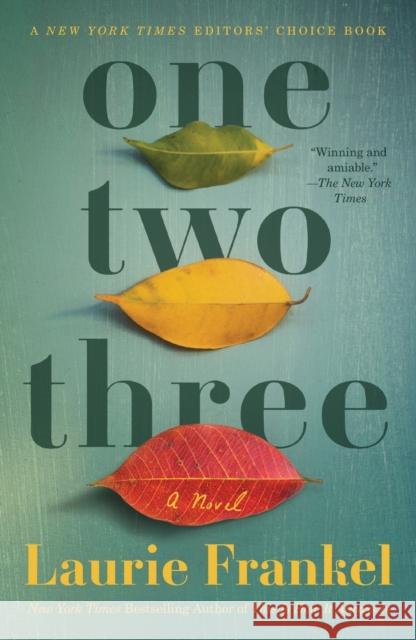 One Two Three Laurie Frankel 9781250236791