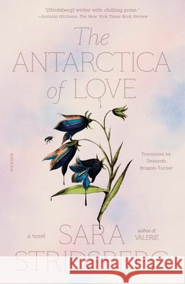 The Antarctica of Love Sara Stridsberg Deborah Bragan-Turner 9781250858740 Picador USA