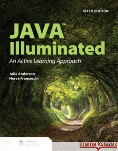Java Illuminated Julie Anderson Herv? J. Franceschi 9781284250480 Jones & Bartlett Publishers