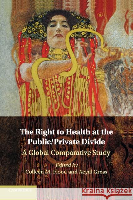 The Right to Health at the Public/Private Divide: A Global Comparative Study Flood, Colleen M. 9781316507544 Cambridge University Press