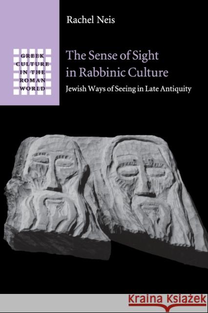 The Sense of Sight in Rabbinic Culture: Jewish Ways of Seeing in Late Antiquity Neis, Rachel 9781316628904 Cambridge University Press