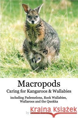 Macropods - Caring for Kangaroos and Wallabies: including Pademelons, Rock Wallabies, Wallaroos and the Quokka Racheal, Donna 9781320184076