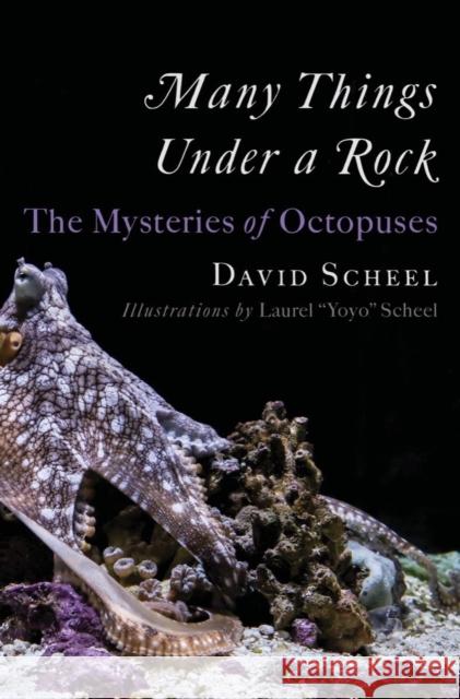 Many Things Under a Rock: The Mysteries of Octopuses Scheel, David 9781324020691 W. W. Norton & Company