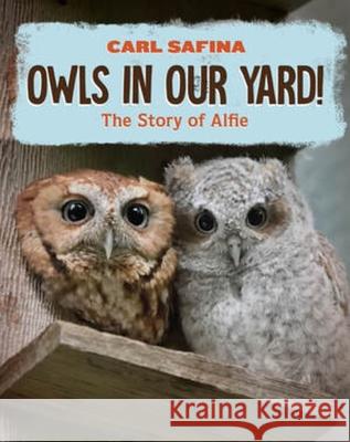 Owls in Our Yard!: The Story of Alfie Carl Safina 9781324053194 WW Norton & Co