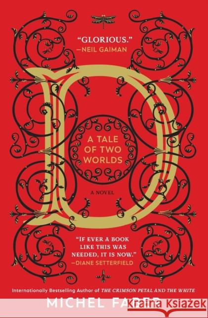 D (a Tale of Two Worlds) Michel Faber 9781335474797