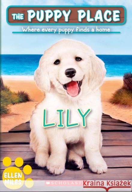 Lily (the Puppy Place #61): Volume 61 Miles, Ellen 9781338686982