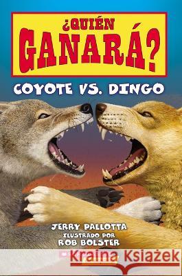 Coyote vs. Dingo (Who Would Win?) (Sp Tk) Jerry Pallotta Rob Bolster 9781339013237 Scholastic en Espanol