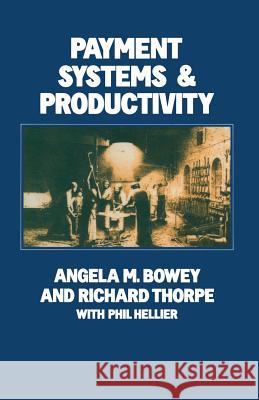 Payment Systems and Productivity Angela M Bowey, Richard S Thorpe, Derya Ozkul, Brady Wagoner 9781349181087