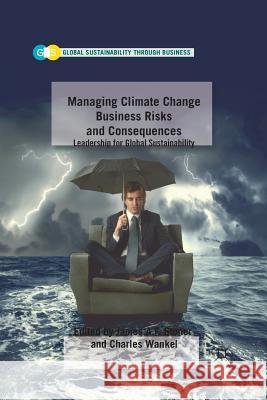 Managing Climate Change Business Risks and Consequences: Leadership for Global Sustainability Stoner, J. 9781349296897